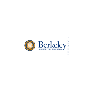 Logo 29